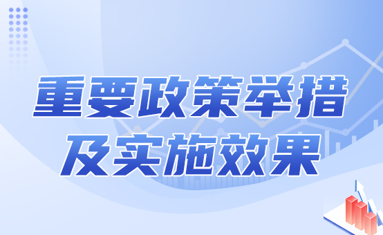 重要举措和实施效果